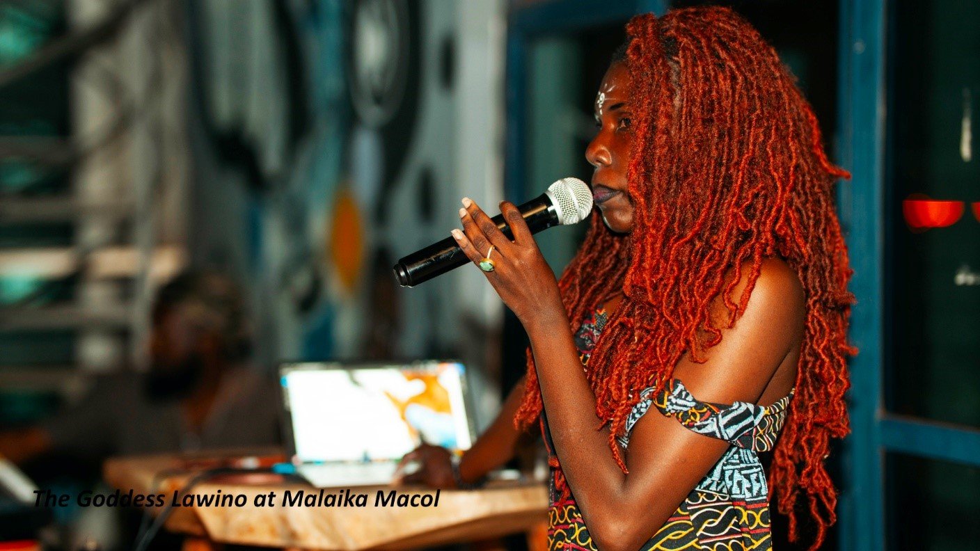 WHAT YOU MISSED AT THE MALAIKA MACOL BOOK LAUNCH